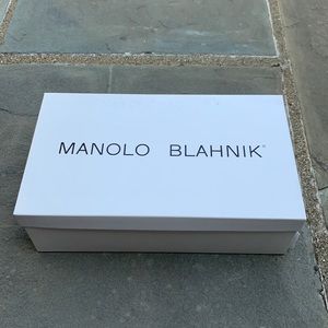 Monolo Blahnik Flats